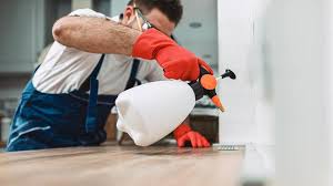 Real Estate Pest Inspections in Langley Park, MD